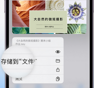 坡头镇apple维修中心分享iPhone文件应用中存储和找到下载文件