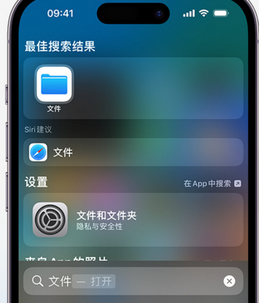 坡头镇apple维修中心分享iPhone文件应用中存储和找到下载文件