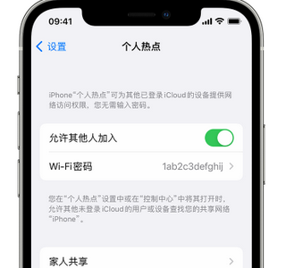 坡头镇apple服务站点分享iPhone上个人热点丢失了怎么办 