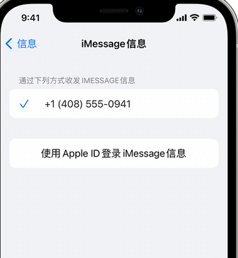 坡头镇apple维修iPhone上无法正常发送iMessage信息 