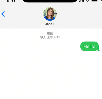 坡头镇apple维修iPhone上无法正常发送iMessage信息