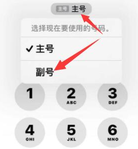 坡头镇苹果14维修店分享iPhone 14 Pro Max使用副卡打电话的方法 