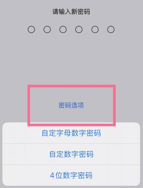 坡头镇苹果14维修分享iPhone 14plus设置密码的方法 