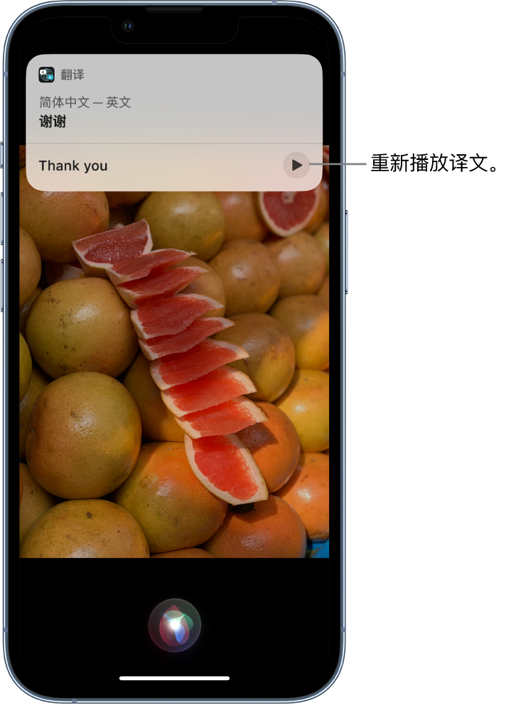 坡头镇苹果14维修分享 iPhone 14 机型中使用 Siri：了解 Siri 能帮你做什么 