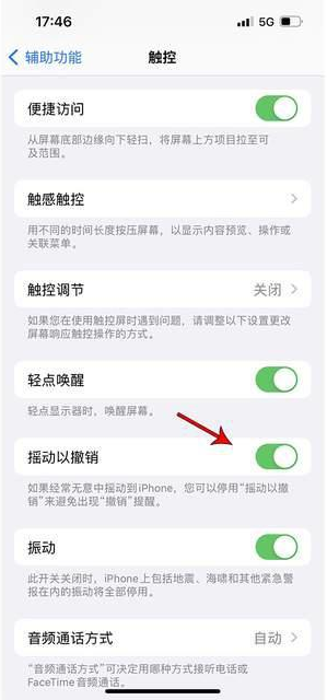 坡头镇苹果手机维修分享iPhone手机如何设置摇一摇删除文字 