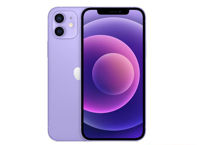 坡头镇苹果手机维修分享现阶段要不要入手紫色版iPhone12 